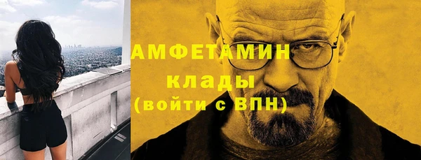 прущие грибы Лабытнанги