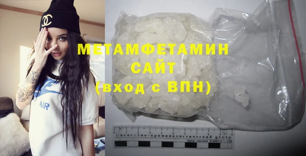 прущие грибы Лабытнанги