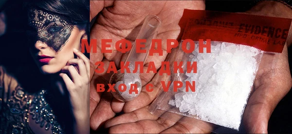 прущие грибы Лабытнанги