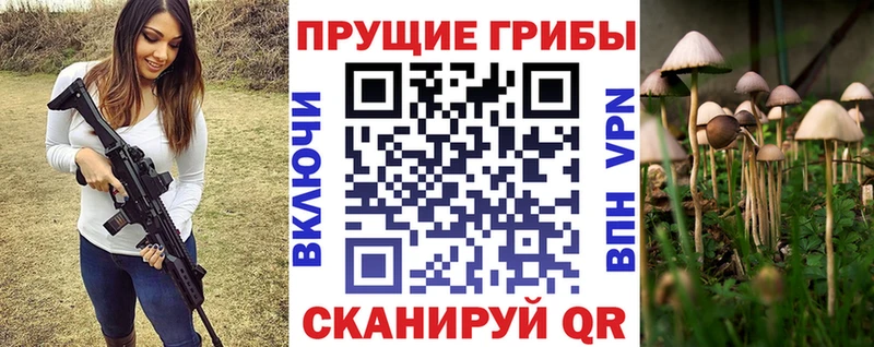 Галлюциногенные грибы мухоморы  Карасук 