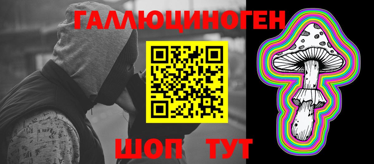 хочу наркоту  Вход с VPN  Карасук  Галлюциногенные грибы Psilocybe 