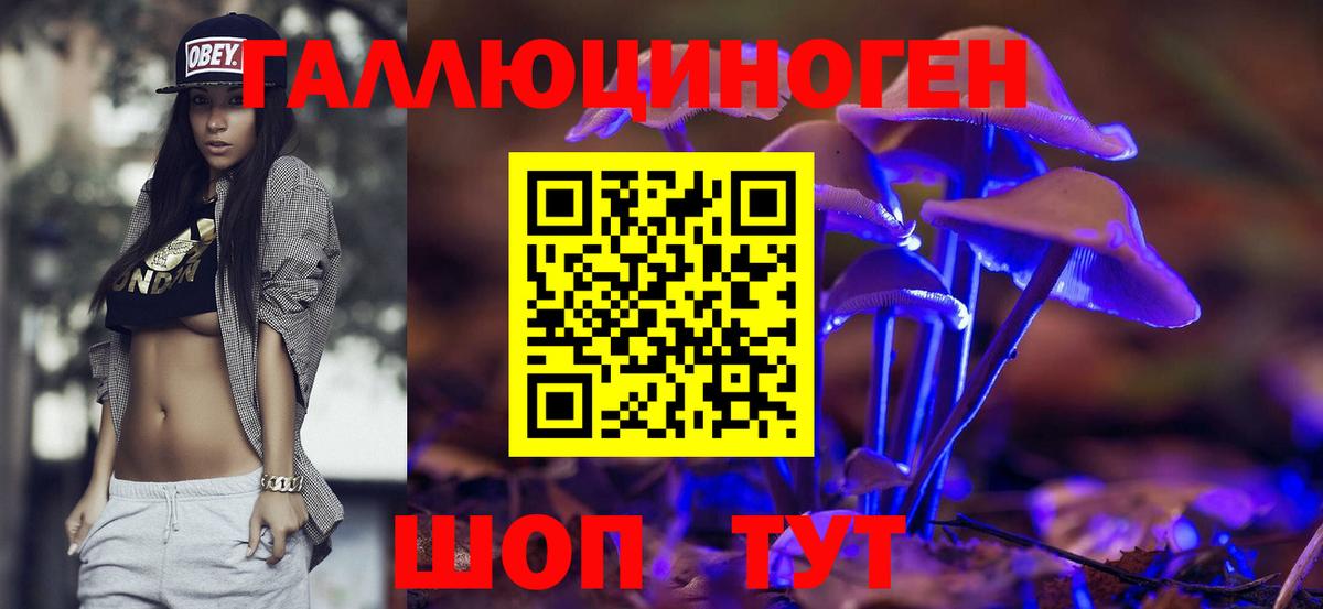 Галлюциногенные грибы GOLDEN TEACHER Карасук